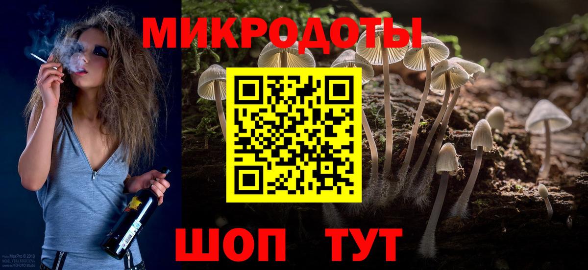 Усть-Джегута  Псилоцибиновые грибы Psilocybe  Вход с VPN 